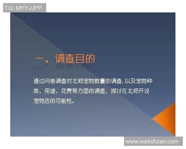 国际篮球裁判员的职责与挑战探讨及其对比赛公正性的影响分析